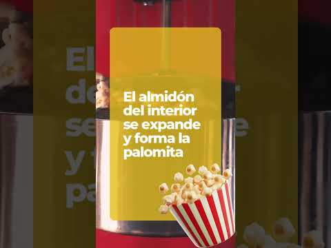 💥Así es como