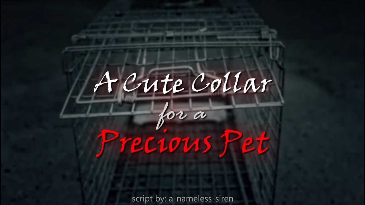 Bringing Home a New Puppy Part 2 (F4A) | yandere speaker | kidnapped | owner/puppy | roleplay (ASMR)