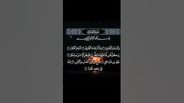 سورة الطارق - ماهر المعيقلي || تلاوة القرآن الكريم
