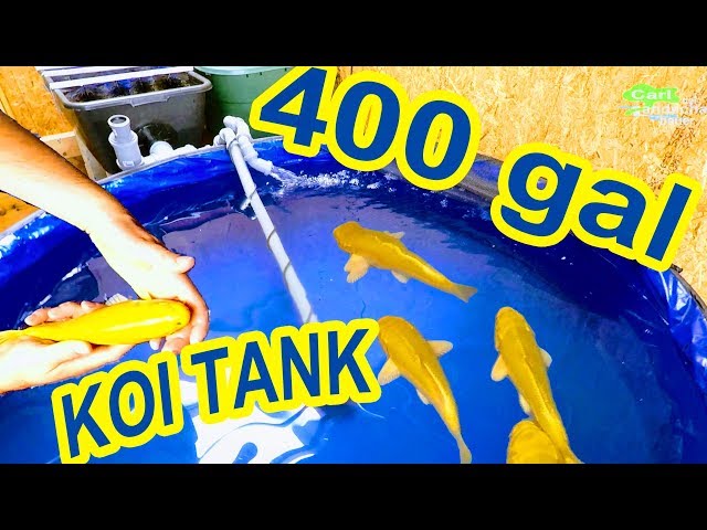 400gal KOI POND BUILD, INDOOR FOLDABLE FISH KEEPING, HOW TO PUT UP PUMPED BRUSH BIOFILTER DIY SETUP class=