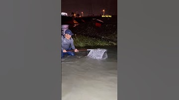 Cá Lớn - vợt đàn cá vào ban đêm thật dễ dàng 😱 #khacthuyvlogg