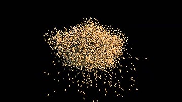 Houdini Particles Test 01