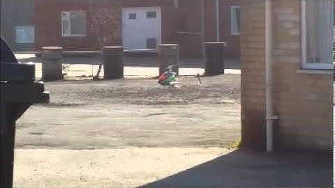 TREX 700N DFC Gasser