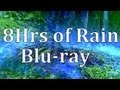 8Hrs of "Rain" Blu-ray " Real Rain Sounds"