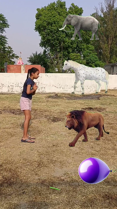 Balloon to Elephant, Horse, Lion & Tiger magic | Animals Names vfx