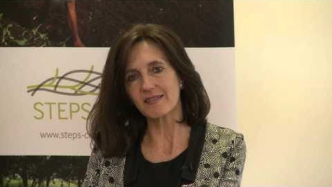 Leach - Planetary boundaries, politics and pathways