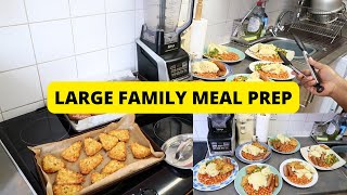 Simple and Quick Meal  For Large Family | Large Family Freezer Meal