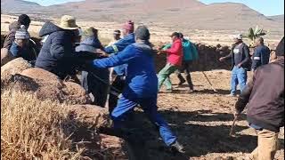 Family Trip to Gqeberha 31: Village Slaughter Function🧺🧑🏽‍🌾🎣🐮🐷🐗🐭🐔🐂🐃🐄🐖🐏🐓🦆🦢🐥🐛🍖🍗🥩🥓🥧🧆🤩😍🥰😄😎😋🐩🐬😋😎😍🐏🐋🦜🐓🐚