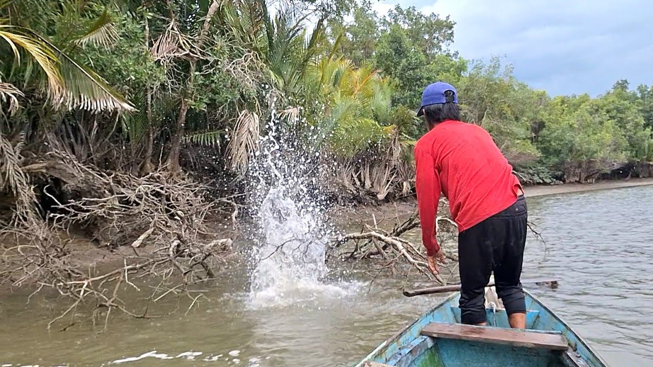 LUAR BIASA TERNYATA BANYAK IKAN BERMAIN DI GERABAH, LANGSUNG MENABRAK JARING YANG DI BENTANGKAN