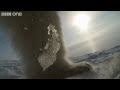 Ein Eisbär, der eine Roboterkamera zerstört, ist tolle Unterhaltung (Video)