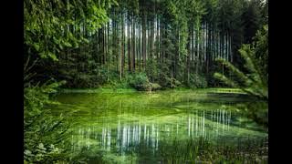 Poured   Lauren Duski 1 Hour