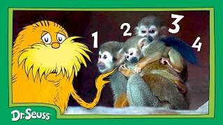 How Many Primates Can You Spot? | The Lorax Nature Keeper's Club | Dr. Seuss