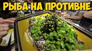 ЕДА В КИТАЕ. РЫБА НА ПРОТИВНЕ🐟 ПРОГУЛКА С НАШИМ УЧИТЕЛЕМ ДЖЕКОМ. МЫ ЗАВЕЛИ КОШКУ.