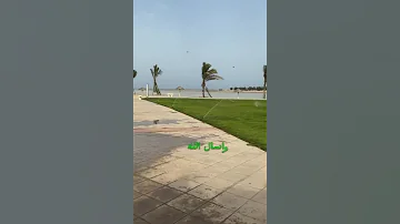 لكل من يعاني من الجيوب الأنفية بسبب السحر المشموم الطريقة تغلي على ماء كل المكونات ويستنشق بخارها 