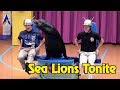 Sea Lions Tonite - Full Show during Electric Ocean at SeaWorld Orlando
