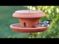 DIY terra-cotta bird feeder