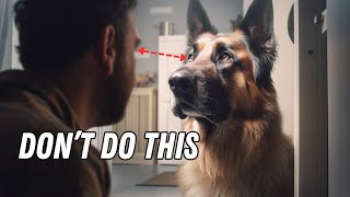 8 Things Dogs HATE (#1 Might Surprise You) by The Smart Canine 910 views 7 months ago 9 minutes, 29 seconds