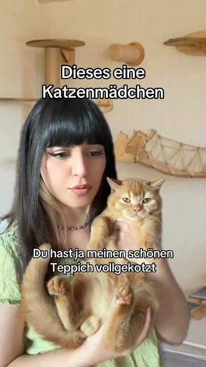Dieses eine Katzen Mädchen 🐈‍⬛🐈 #comedy #pov #humor #lustigevideos #funny #lustig #memes #meme