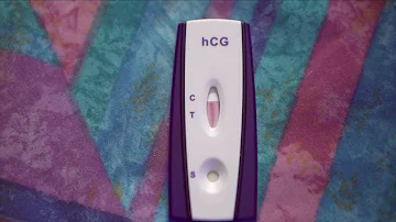 Will a human home pregnancy test work on a dog?
