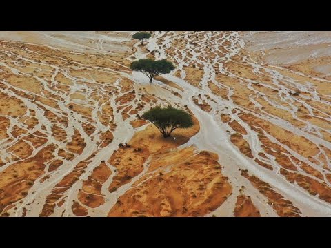 سوالف وتوثيق لبعض الحالات المطرية1421 1424 1429 بين صالح الربيعان وابو خالد العلاج