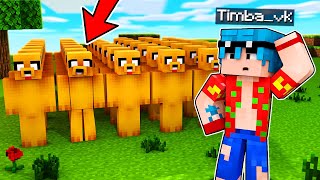 ¿CUAL ES EL VERDADERO MIKECRACK? 🕵️‍♂️😆 ESCONDITE con Los COMPAS en MINECRAFT