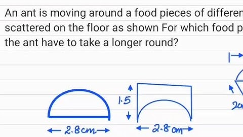 An ant is moving around food pieces.... | NCERT | Mensuration | Step wise Solution | Class 8 CBSE