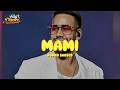 Romeo Santos - Mami (Letra)