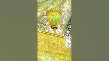 📖 {سورة الحجرات : الآية 14}🔊 تلاوة القارئ محمدرضا محمدي