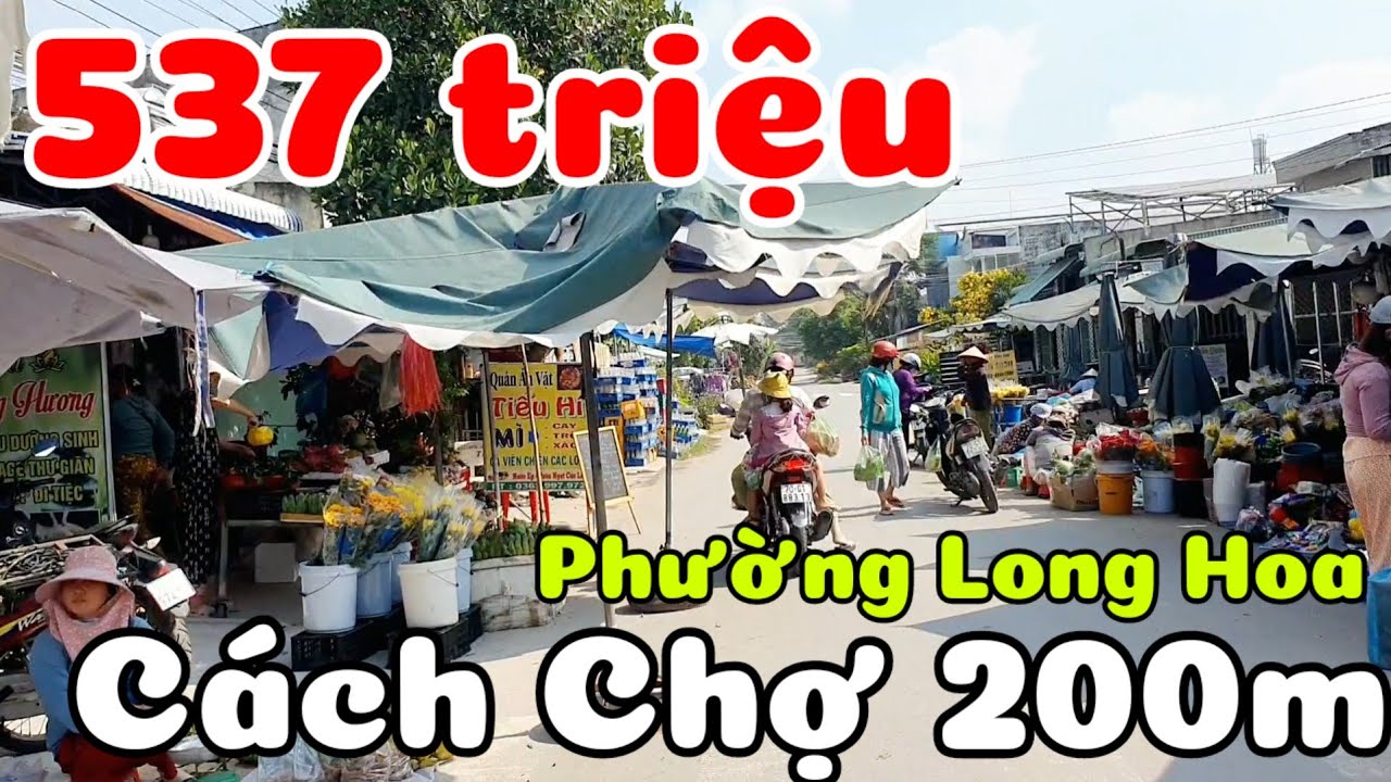 Đất nở hậu kế bên Chợ Trường Lưu phường Long Hoa Tây Ninh giá 537 triệu đường 10m thổ cư nhiều
