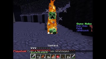 MesterMc Guns and Mobs #1 rész hunikaa12ツ