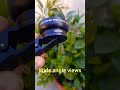 Use of 0.45x wide angle and macro lens in phone#lenses #outdoor #wide angle and macro lenses