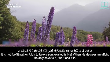 سورة مريم - سعد الغامدي - مترجم | Surah Maryam - Saad Alghamdi - English subtitles