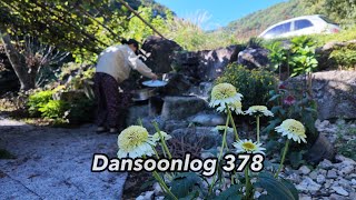 Dansoonlog378 Autumn Days of a Quirky Woman in a Small Mountain Home in Korea screenshot 4