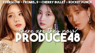 produce48: where are they now? (everglow, cherry bullet, rocket punch, fromis9...) Net Worth