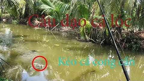 Câu dạo cá lóc mồi nháy hơi S1000 Mini