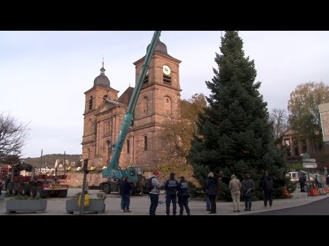 Vidéo: Sapins De Noël, Parcs Et Grand Urbanisme