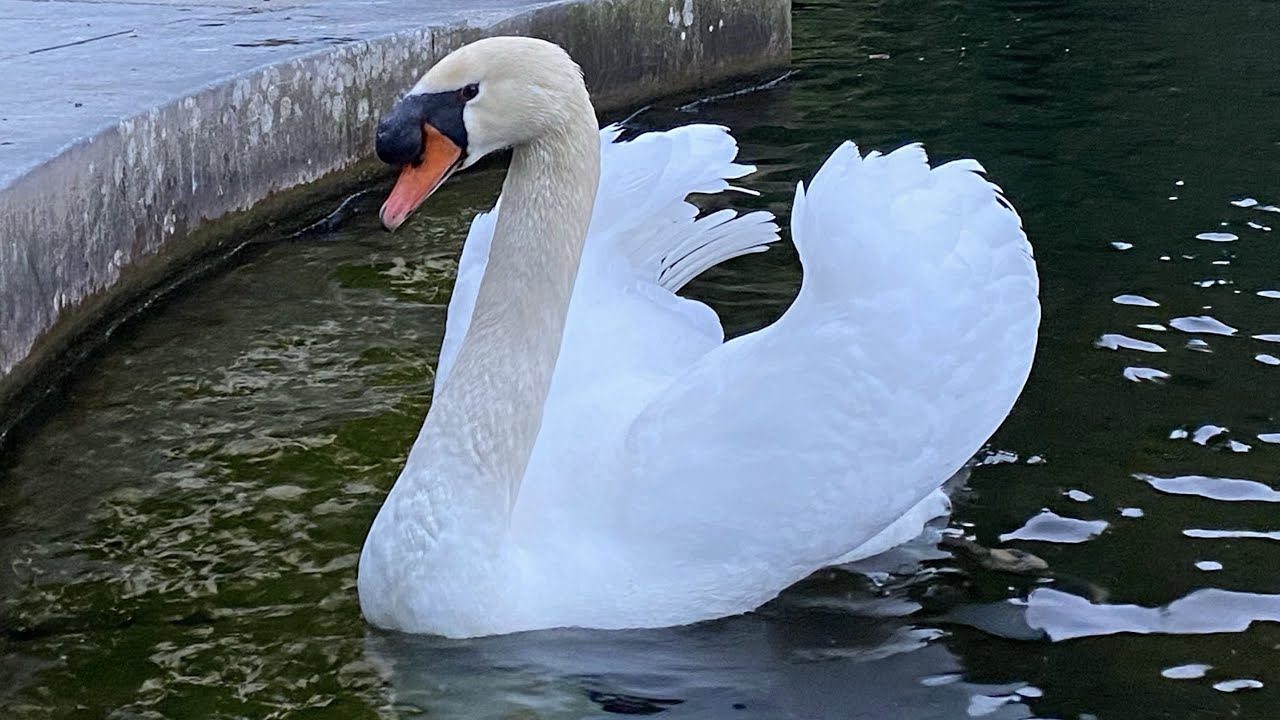 Прогулка по городу Ним Франция.