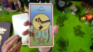 MEDICINE CARDS -Review- FOR GUIDANCE, INSPIRATION AND HELP IN FINDING ANSWERS TO LIFE'S QUESTIONS
