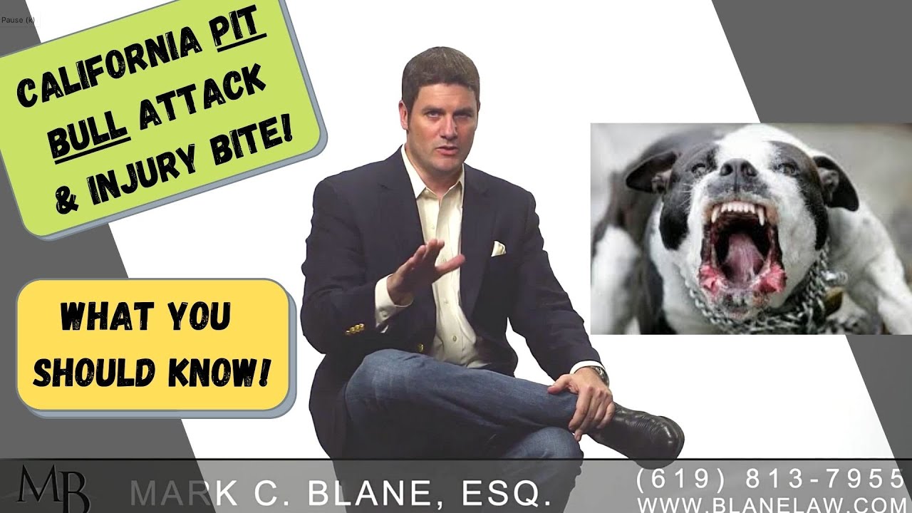 San Diego Dog Bite Attack Lawyer & Laws San Diego