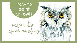 How to paint an owl? Watercolor speed painting YouTube