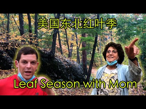 Leaves and Disconnected Stories with Mom 美国东北红叶季到了～～ 我和妈妈带你逛逛我们家附近小森林