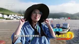 《生财有道》 20230615 小岛渔家的蝶变| 财经风云