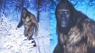 When They Built the Alaska Pipeline, the Workers Saw Bigfoot in the Trees