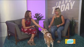 Idaho Human Society’s Weekly Adoptable Pet