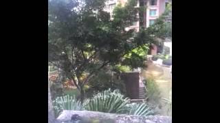 這禽獸竟然清早在別人睡房窗外偷窺，還故意發出聲響，實在太過份！