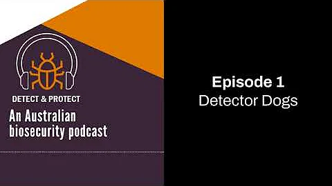 Detect and Protect – Australia’s biosecurity detector dogs