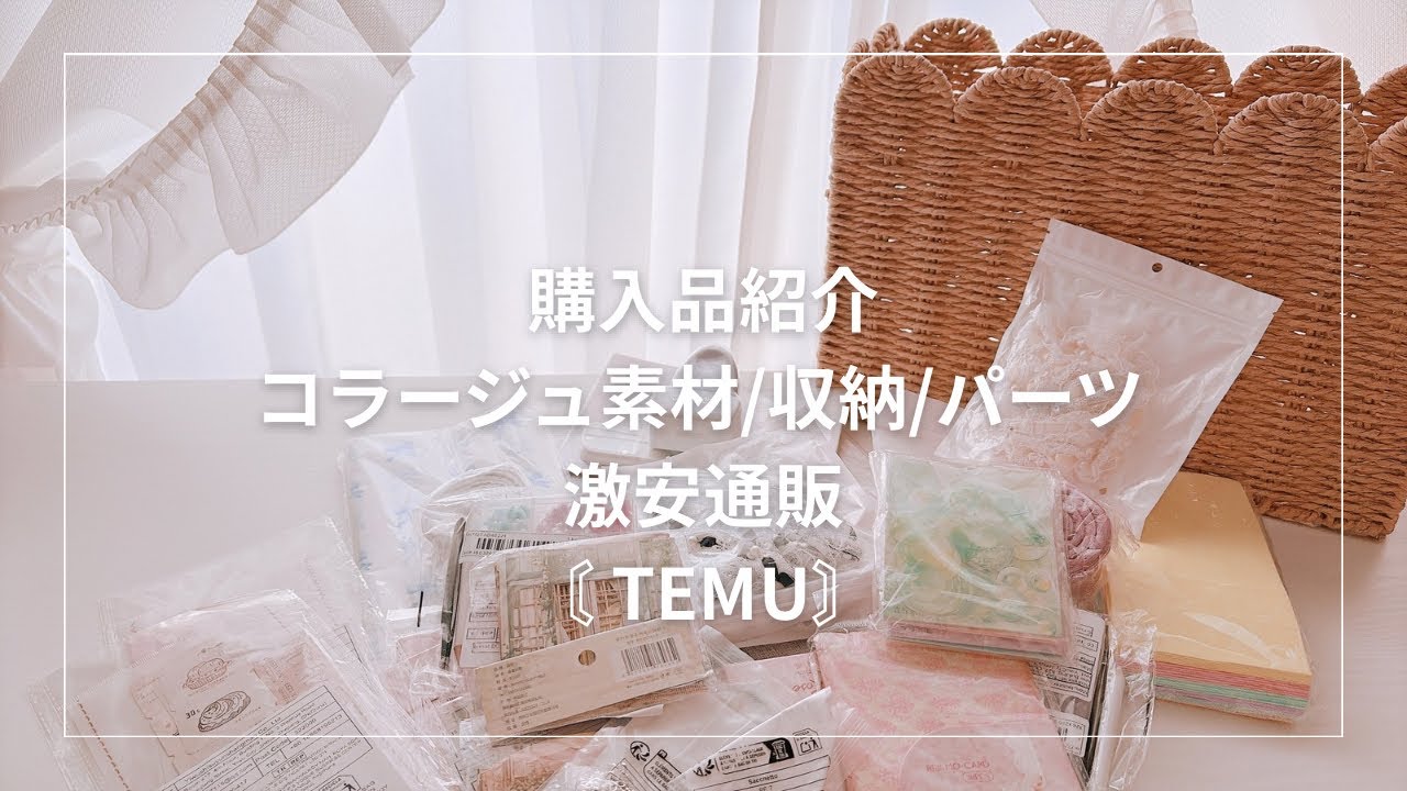 激安通販（TEMU）購入品紹介