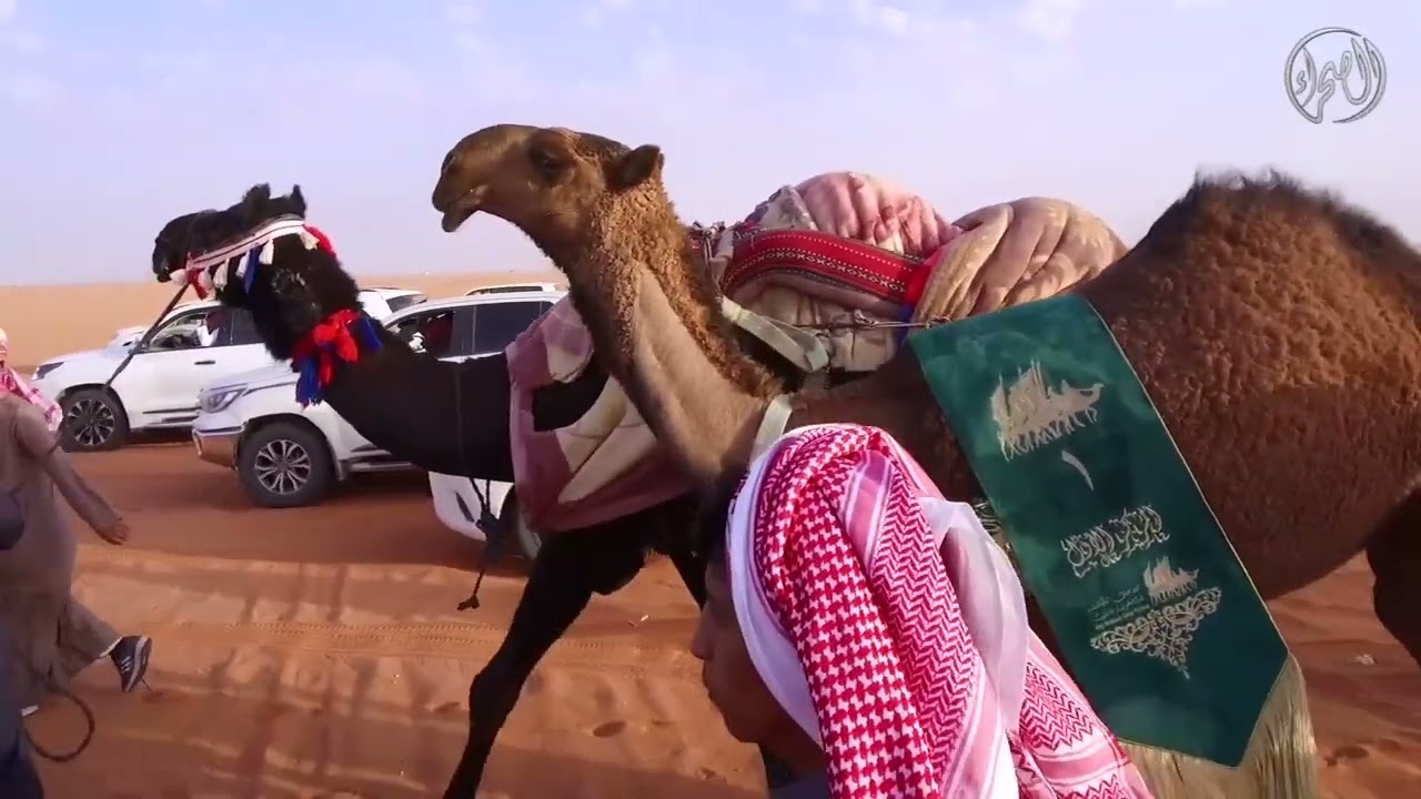 مسيرة الفوز لفردية الشرقية | مالك الإبل /عبدالله بن محمد ناصر الدوسري - مهرجان الملك عبدالعزيز للابل