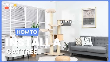 How to Install the 77.5 Inch Cat Tree Condo Multi-Level Kitten Tower | PS7476 #costway #howto