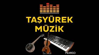 Bülent Taşyürek Candan Ileri